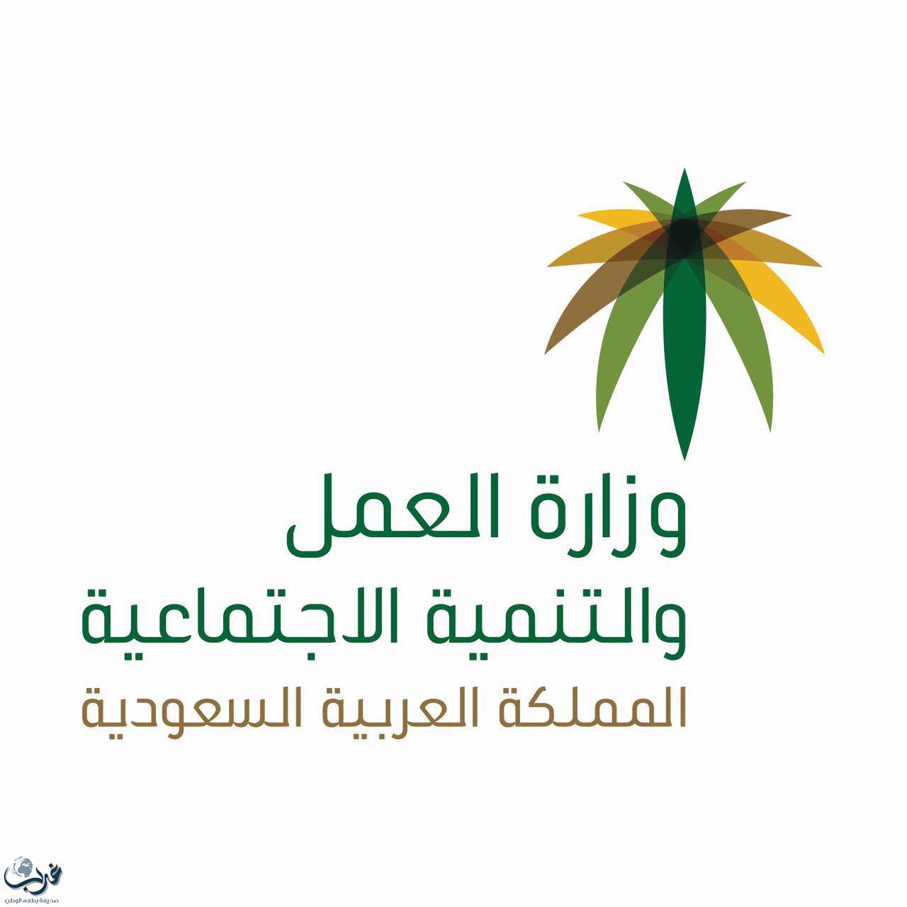 "العمل والتنمية الاجتماعية" تطور خدمات مراكز الدعم والإرشاد الأسري بـ200 مقر و21 ألف عامل بحلول 2020