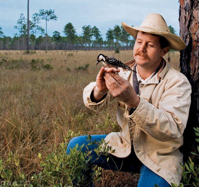 Red-cockaded woodpecker populations strengthened thanks to Power of Flight program