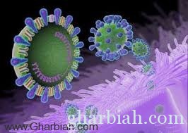 كيف وصل فيروس كورونا إلى جدة؟