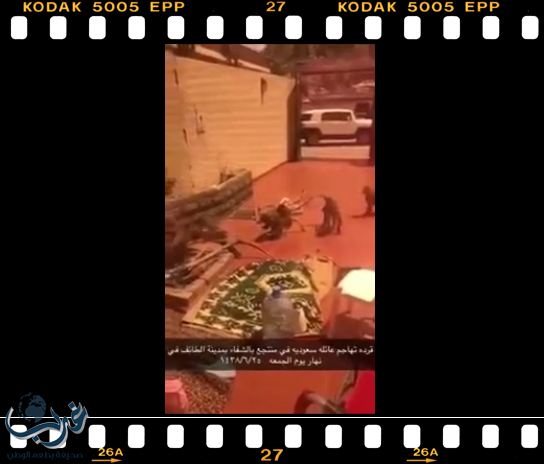 قرود تقتحم منزل عائلة في الطائف وتسرق محتوياته "فيديو"