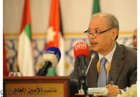 بن حلي: قمة نواكشوط أكدت أن القضية الفلسطينية هي جوهر القضايا العربية