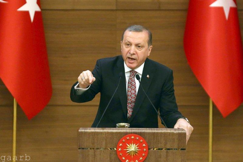 إردوغان: على تركيا دراسة تجريد داعمي الإرهاب من الجنسية