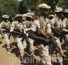 قوات الأمن في النيجر قتلت نحو 12 من مقاتلي جماعة بوكو المسلحة