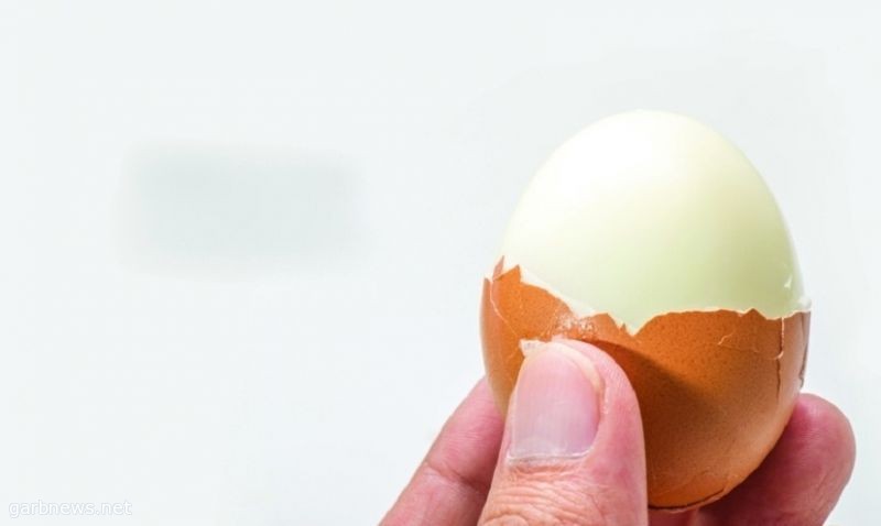 دراسة تؤكد أن تناول البيض على الإفطار ينقص الوزن