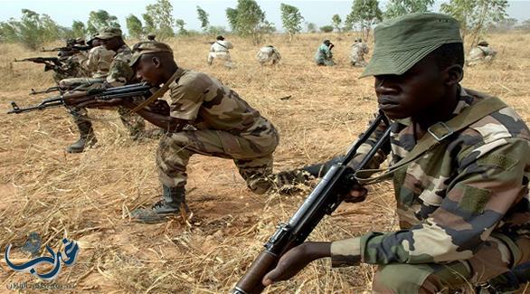 النيجر: مقتل وإصابة 15 جندياً في هجومين لبوكو حرام