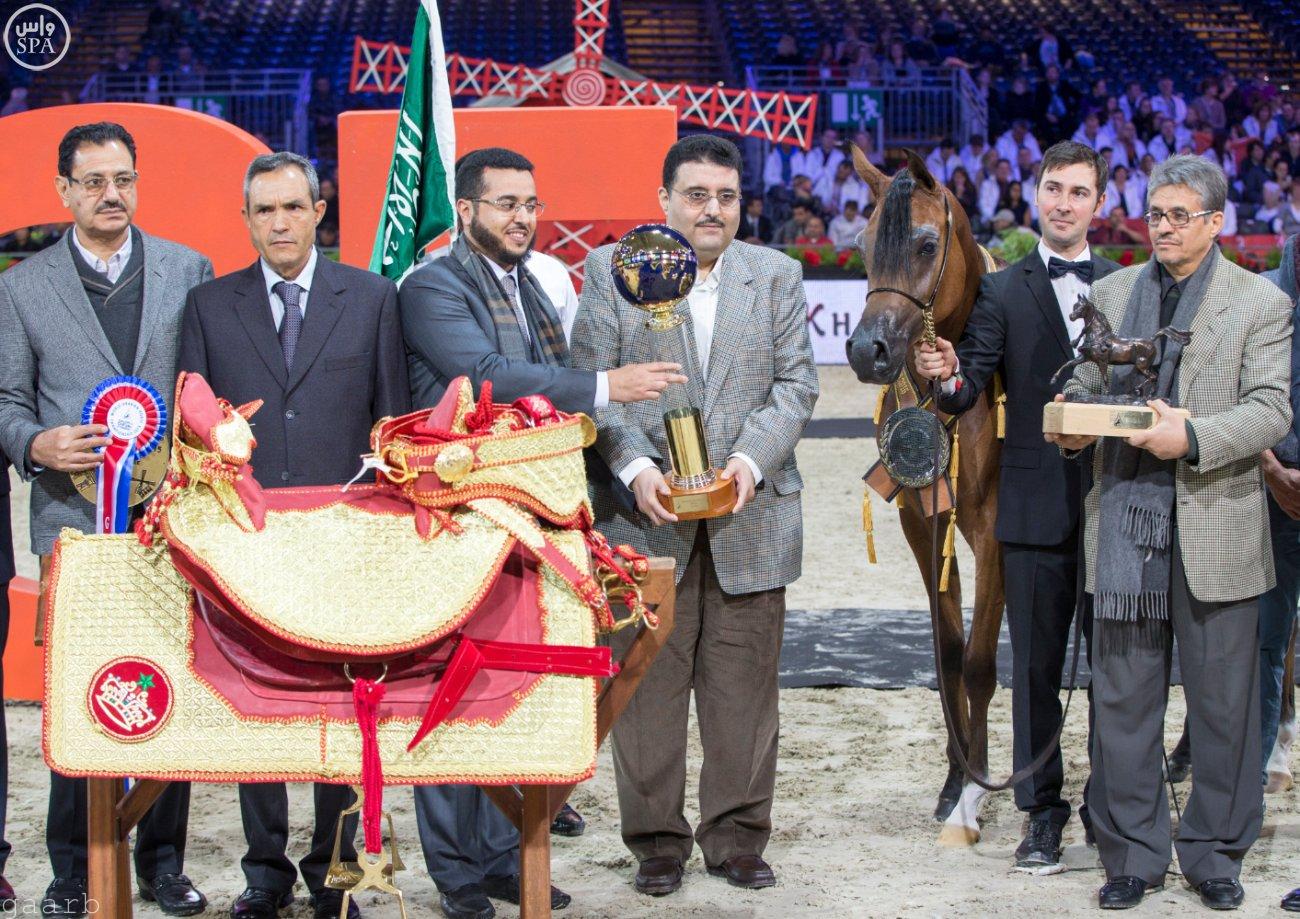 المهرة "رواية عذبة" تتوج ببطولة العالم لجمال الخيل العربية الأصيلة