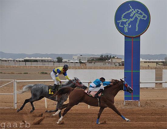 فروسية جدة تقيم حفل سباقها السابع لهذا الموسم