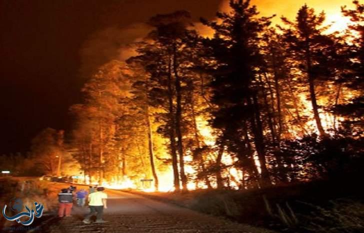 حرائق الغابات تدمر 130 ألف هكتار من الأراضي في تشيلي