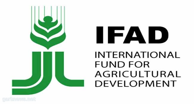 صندوق التنمية الزراعية الدولي يبدأ في مشروع دعم الحيازات الصغيرة