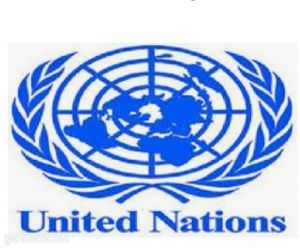 الأمم المتحدة تشكل لجنة دولية للتحقيق في أحداث غزة
