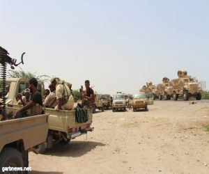 الجيش اليمني يحرر مواقع استراتيجية في القبيطة