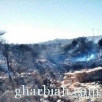 مدني الطائف : يخمد حريق في مزرعة بطريق الشفا