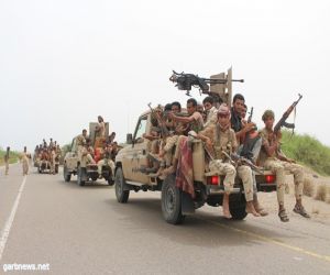 ألوية العمالقة تلاحق الميليشيا في محيط زبيد