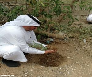 أبو سراح يدشن مبادرة لزراعة ٥ ألف شتلة بميل قيس