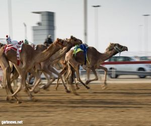 سباق  الهجن يحرز تقدما في الرياضات التنافسية في المملكة العربية السعودية