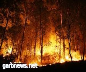 عمليات إجلاء واسعة للسكان إثر حريق غابات جديد في منطقة شمال كاليفورنيا الأمريكية