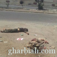شاهد ردة فعل أبناء عدن بعد رؤية جثث الحوثيين ملقاة في الشوارع(فيديو)