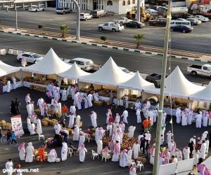 مهرجان الرمان الوطني السابع بالباحة يختتم فعالياته غداً