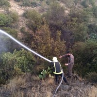 الدفاع المدني بالباحة : اخماد حريق مزرعة دون خسائر