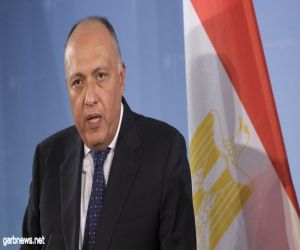 مصر تقر بالتزامها التام بالعمل على إنهاء قضية الروهنغيا