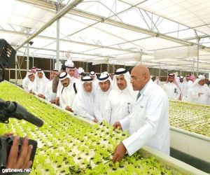 حفل تكريم أول مشروع للزراعة المائية بمحافظة الجموم بمنطقة مكة المكرمة
