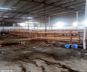 إغلاق مصنع عشوائي مخالف لدباغة الجلود في الشميسي