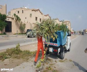 بلدية تاروت: زيارة 345 محلا غذائيا و نقل 2520 م3 نفايات خلال الثلاثة أشهر الماضية