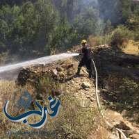 مدنى بنى حسن: يباشر حريق وادي العارجة بمحافظة بني حسن
