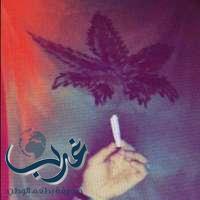 *القبض على  مروجي المخدرات عبر “سناب شات” بالطائف
