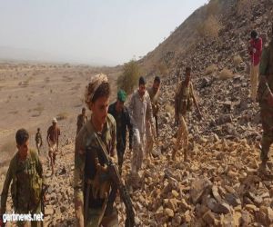 الجيش الوطني اليمني يحرر سلسلة جبلية وعدد من القرى في محور حرض