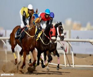 ” ليلة فرح ” والجواد ” مخلص الخالدية ” يخطف كأس جامعة الملك عبدالعزيز بجدة