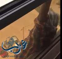 الكويت.. الشرطة توقف سيدة صوَّرت خادمتها وهي تسقط من الشرفة!