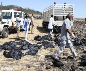 وزير المياه والبيئة اليمني ووكيل وزارته ينجوان من تحطم الطائرة الإثيوبية