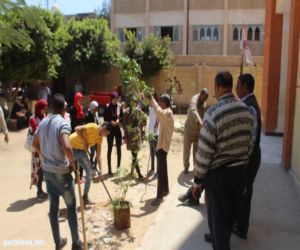 اليوم .. بمشاركة 15 متطوع وعمال المدينة مبادرة ازرع شجرة تنفذ فى مركز نجع حمادى بمصر