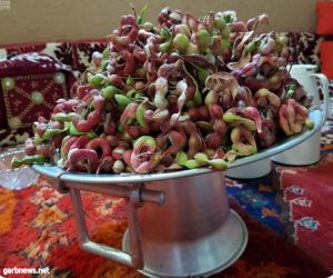مزارع وادي الدواسر تقدم ثمار اللوز الأحمر مجاناً للزوار