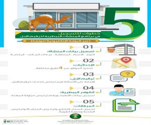 *"البيئة" تمكّن المنشآت البيطرية من "ترقيم الابل" إلكترونياً.. و5 خطوات للتسجيل في البرنامج*