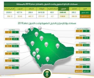 18,6 ألف هكتار مساحة إنتاج المملكة من الزراعة العضوية في 2018*