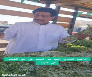 قصة عشق في صبيا بين كنديري والنباتات العطرية هذه تفاصيلها