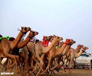 مهرجان ولي العهد يشعل فتيل المنافسات