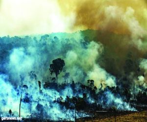آلاف الجنود البرازيليين لمكافحة حرائق الأمازون