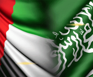 الإمارات والسعودية معاً في اليمن