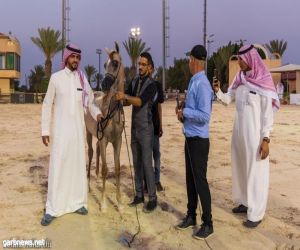 إنطلاق مسابقة جمال الخيل العربية بمحافظة الطائف