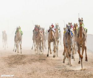 ‏بن رأيه يسيطر على الأشواط الرئيسية بـ"ترف" و"الشيب"* وأفضل توقيت من نصيب "شواهين"