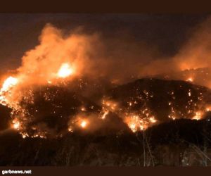 الحريري: لا أضرار بشرية حتى الآن جراء عشرات الحرائق في لبنان