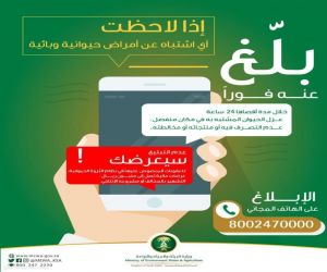 "البيئة" تحث على ضرورة الإبلاغ عن الأمراض الوبائية للحيوانات