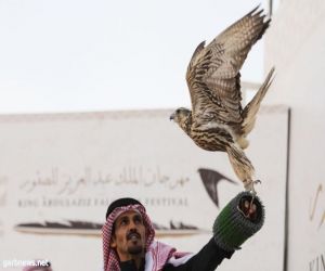 الصقارون يترقبون مهرجان الملك عبدالعزيز للصقور بنسخته الثانية