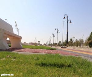 بلدية جوف بني هاجر تزرع أكثر من 120 ألف زهرة و ثلاثة آلاف شجرة لزيادة الرقعة الخضراء
