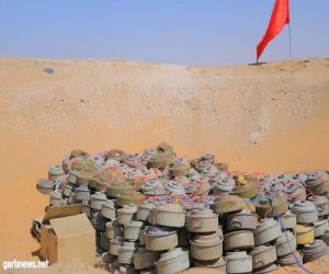 "مسام" يتلف مئات الألغام الحوثية في الجوف