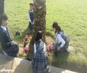 بلدية غرب الدمام: زراعة 200 شجرة بمشاركة 45 طالبة من أحد المدارس الابتدائية
