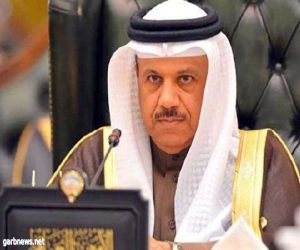 الأمين العام لمجلس التعاون يستقبل رئيس المجلس القومي للعلاقات العربية الأمريكية